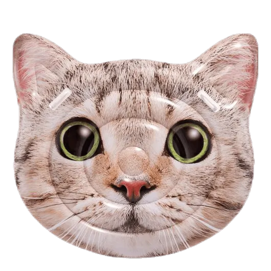 Intex Cat Face Island Patterned