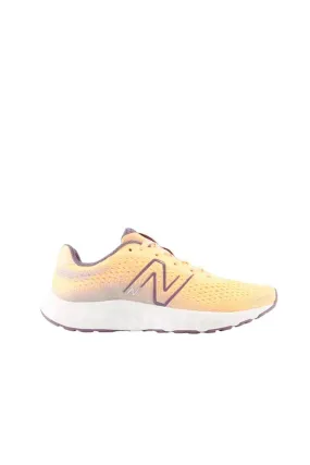 Zapatilla New Balance 520 W520FT8